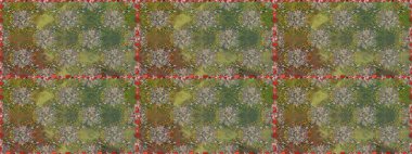 Sarma, tekstil ve duvar kâğıdı için kusursuz çiçek arkaplanı. Raster 'ın taze dokusu. Klasik çiçek desenli. Yumuşak pamuk tasarımı. Yumuşak kiremit.