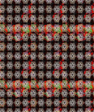 Raster illüstrasyonu. Siyah renkli siyah papatya deseni. Siyah renklerde.