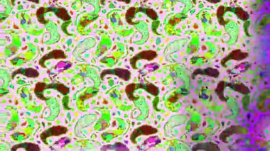 Renkli unsurlarla hareketli arka plan görüntüleri. Çiçekler. Eski model. Bayrak tarzı. Video kaydı. Şablon. Döngü. Kusursuz.. 