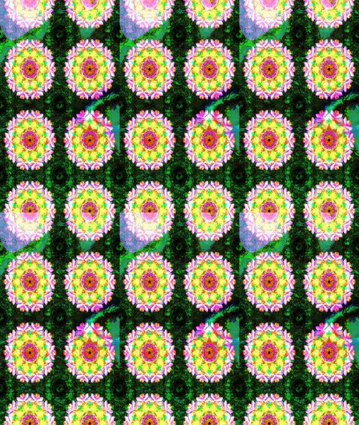 Sketch pattern with fantasy flowers, natural wallpaper, floral decoration curl illustration. Home decor. Paisley print hand drawn elements.