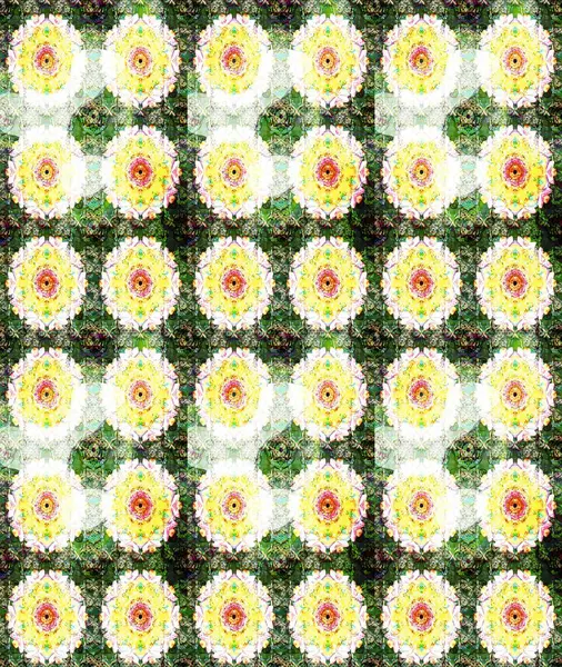 Raster çiçek desenli çiçek deseni, yapraklar, dekoratif elementler, sıçrama, lekeler, el çizimi kontur çizgileri ve Doodle çizim stili, grafik raster çizim çizimi.