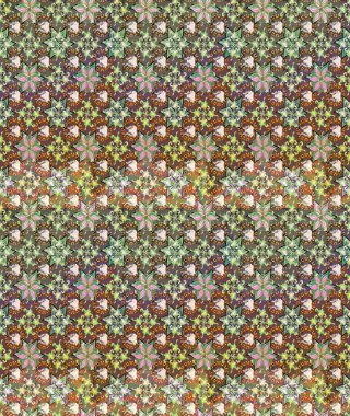 Kahverengi renklerde. Çiçek. Raster illüstrasyonu. Taslak dekoratif arka plan, çiçek mandala.