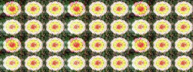 Güzel kumaş deseni. Düz Çiçek Elementleri Tasarımı. Renkli Bahar Teması eskiz kalıbı. Raster illüstrasyonunda çiçek deseni çizimi.