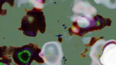 Renkli unsurlarla hareketli arka plan görüntüleri. Çiçekler. Eski model. Bayrak tarzı. Video kaydı. Şablon. Döngü. Kusursuz.. 