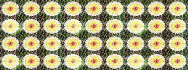 Raster illüstrasyonu. Şatafatlı bahar bahçesi dokusu. Çiçek deseni. Çiçek çizimi arkaplanı.