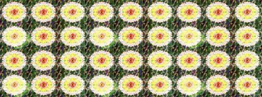 Raster illüstrasyonu. Şatafatlı bahar bahçesi dokusu. Çiçek deseni. Çiçek çizimi arkaplanı.