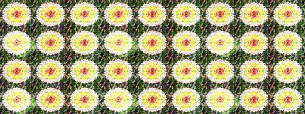 Raster illüstrasyonu. Şatafatlı bahar bahçesi dokusu. Çiçek deseni. Çiçek çizimi arkaplanı.