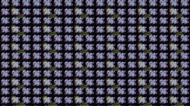 Moda arka planında parlak buketler. Raster illüstrasyonu. Kumaş, duvar kağıdı ve kağıt üzerine baskı yapmak için gelişen arka plan. Eski usul küçük çiçekli şirin bir eskiz deseni..