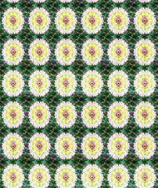 Yeşil renkli çiçekler. Nazik, narin çiçek arkaplanı. Raster çiçek desenli ve çiçekli..