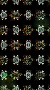 Parlak renkli çiçekli ve siyah yapraklı harika bir çiçek deseni. Moda baskıları için zarif bir şablon. Halk tarzı. Modern çiçek arkaplanı.