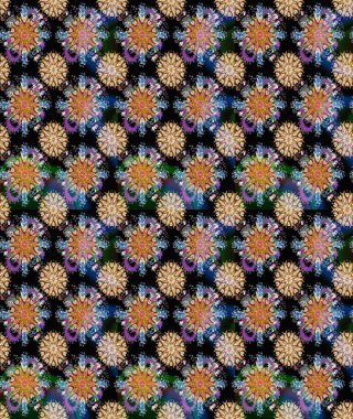 Parlak renkli çiçekli ve siyah yapraklı harika bir çiçek deseni. Moda baskıları için zarif bir şablon. Modern çiçek arkaplanı. Halk stili.