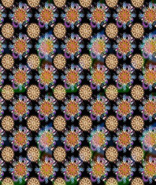 Çiçekli yumuşak bir eskiz şekli. Raster çiçekleri klasik tarzda çizilmiş. Yumuşak, bahar çiçekleri siyah renklerde. Raster illüstrasyonu.