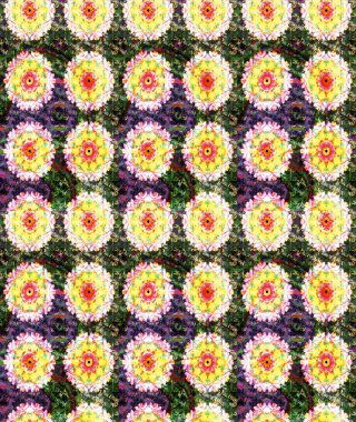 Düz Çiçek Elementleri Tasarım Raster illüstrasyonu. Çiçek desenli eskiz. Renkli Bahar Teması eskiz kalıbı. Sarı renkte çiçekler.