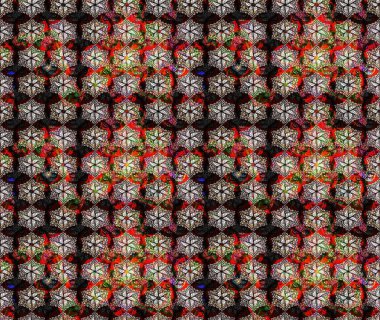 Siyah renkli çiçekler. Nazik, sevimli çiçek arkaplanı. Raster çiçek desenli ve çiçekli..