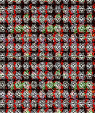 Düz Çiçek Elementleri Tasarımı. Renkli Yaz Temalı eskiz kalıbı. Siyah renkli çiçekler. Raster illüstrasyonunda çiçek deseni çizimi.