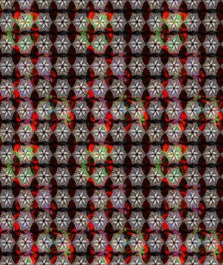 Raster illüstrasyonu. Siyah renklerde. Taslak dekoratif arka plan, çiçek mandala. Çiçek..