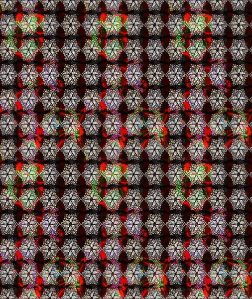 Raster illüstrasyonu. Siyah renklerde. Taslak dekoratif arka plan, çiçek mandala. Çiçek..