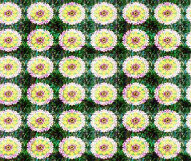 Tropik çiçek desenleri. Raster illüstrasyonu. Yeşil renkte çiçekler.