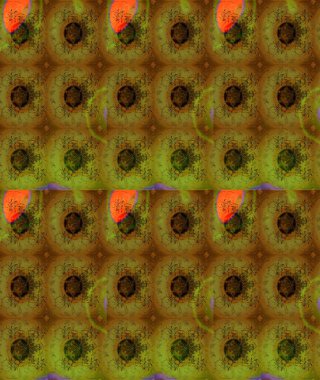 Bahar çiçekleriyle güzel bir çiçek deseni çizmişsin. Güzel kumaş deseni. Raster illüstrasyonu.