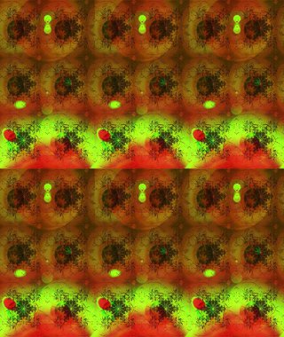 Moda baskıları için zarif bir şablon. Modern çiçek arkaplanı. Parlak renkli çiçekleri ve kahverengi renkli yaprakları olan harika bir çiçek deseni. Halk stili.