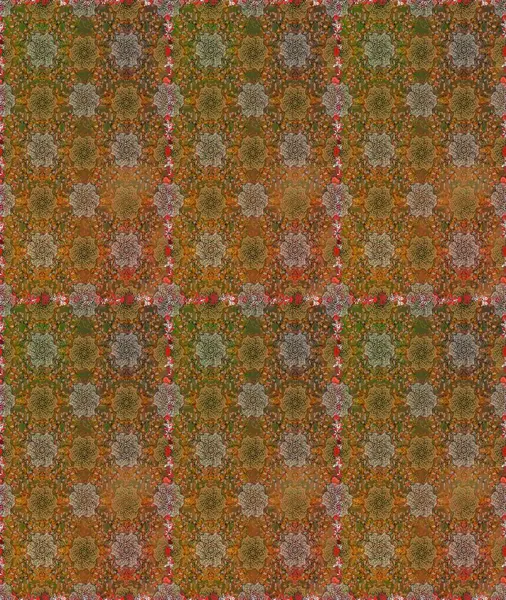 Etnik Mandala süsleme. Kullanılabilir Tekstil, tebrik kartı, boyama kitabı, telefon durumda yazdırma için. Raster kına dövme tarzı. Hint çiçek desenli madalyon desen.