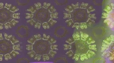 Renkli unsurlarla hareketli arka plan görüntüleri. Çiçekler. Eski model. Bayrak tarzı. Video kaydı. Şablon. Döngü. Kusursuz.. 