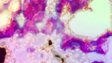 Renkli unsurlarla hareketli arka plan görüntüleri. Çiçekler. Eski model. Bayrak tarzı. Video kaydı. Şablon. Döngü. Kusursuz.. 