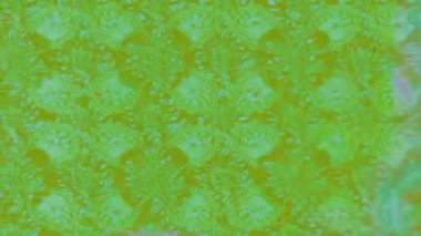 Renkli unsurlarla hareketli arka plan görüntüleri. Çiçekler. Eski model. Bayrak tarzı. Video kaydı. Şablon. Döngü. Kusursuz.. 