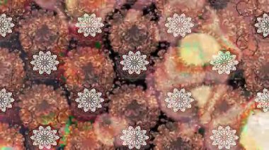 Renkli unsurlarla hareketli arka plan görüntüleri. Çiçekler. Eski model. Bayrak tarzı. Video kaydı. Şablon. Döngü. Kusursuz.. 