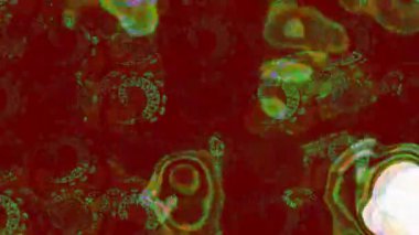 Renkli unsurlarla hareketli arka plan görüntüleri. Çiçekler. Eski model. Bayrak tarzı. Video kaydı. Şablon. Döngü. Kusursuz.. 