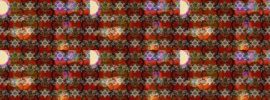 Hint çiçek liyada madalyon deseni. Etnik Mandala süsü. Tekstil, tebrik kartı, boyama kitabı, telefon kılıfı baskı için kullanılabilir. Raster Kına dövme tarzı.