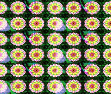 Ev dekoru. Paisley el çizimi elementler. Fantezi çiçekli eskiz deseni, doğal duvar kağıdı, çiçek desenli kıvrımlı illüstrasyon.