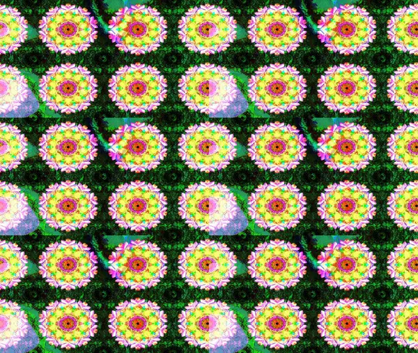 Ev dekoru. Paisley el çizimi elementler. Fantezi çiçekli eskiz deseni, doğal duvar kağıdı, çiçek desenli kıvrımlı illüstrasyon.