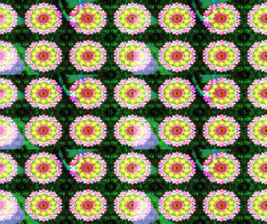 Ev dekoru. Paisley el çizimi elementler. Fantezi çiçekli eskiz deseni, doğal duvar kağıdı, çiçek desenli kıvrımlı illüstrasyon.