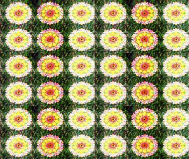 Yeşil ve sarı çiçekli bahar çiçekleri. Motley illüstrasyonu. Küçük renkli çiçekler. Küçük çiçekte güzel bir desen. Moda baskıları için zarif bir şablon.