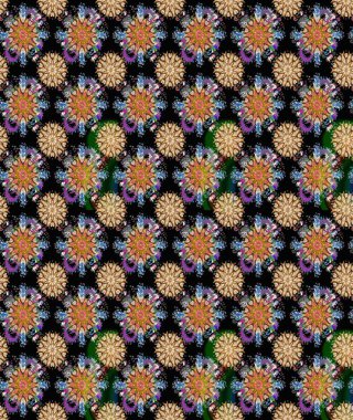 Raster illüstrasyonundaki çiçek desenli çizim. Siyah renkli çiçekler. Renkli Bahar Teması eskiz kalıbı. Düz Çiçek Elementleri Tasarımı.