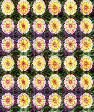 Raster çiçek desenleri çiziyor. Vadinin sarı renkli çiçekleri.