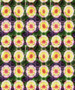 Raster illüstrasyonundaki çiçek desenli çizim. Renkli Bahar Teması eskiz kalıbı. Düz Çiçek Elementleri Tasarımı. Süslü kumaş deseni.