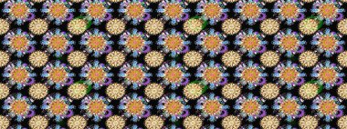 Raster illüstrasyonu. Egzotik çiçekler, botanik, parlak klasik siyah ve bej renkler. Klasik tropikal doğal elementlerin suluboya seti.