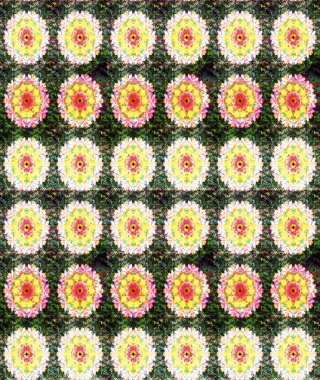 Yeşil renkli çiçekler. Nazikçe, güzel çiçek arkaplanı. Raster çiçek desenli ve çiçekli..