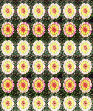 Yeşil renkli çiçekler. Nazikçe, güzel çiçek arkaplanı. Raster çiçek desenli ve çiçekli..