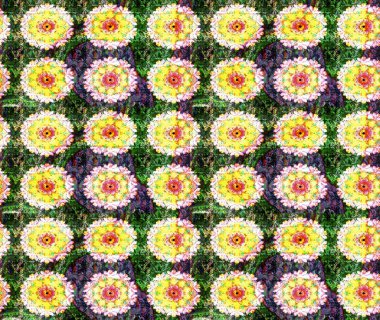 Tonda. Güzel desen dekorasyon ve tasarım için. Çiçek suluboya çizimler ve zarif desen. Trendy yazdırma. Sulu Boya Dikişsiz desen buket çiçek.