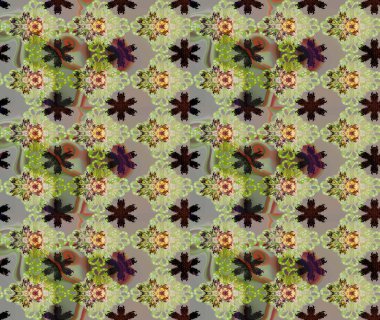 Tarafsız renkler üzerine çiçek desenli çizimler, el yapımı papatyalar, papatyalar. Tekrar eden çiçek arkaplanı, zarif nötr çiçek duvar kağıdı.