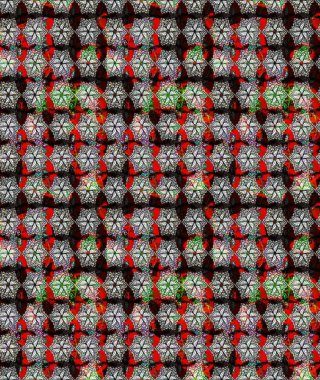 Düz Çiçek Elementleri Tasarımı. Renkli Yaz Temalı eskiz kalıbı. Siyah renkli çiçekler. Raster illüstrasyonunda çiçek deseni çizimi.