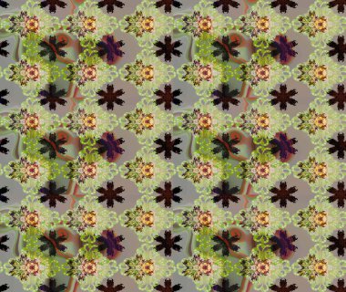 Tarafsız renkler üzerine çiçek desenli çizimler, el yapımı papatyalar, papatyalar. Tekrar eden çiçek arkaplanı, zarif nötr çiçek duvar kağıdı.