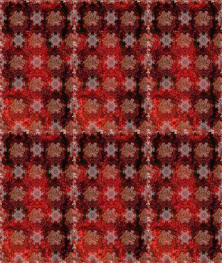 Etnik Mandala süsü. Raster Henna dövme stili. Kızılderili desenli desenli desenli şal deseni. Tekstil, tebrik kartı, boyama kitabı, telefon kılıfı baskısı için kullanılabilir.