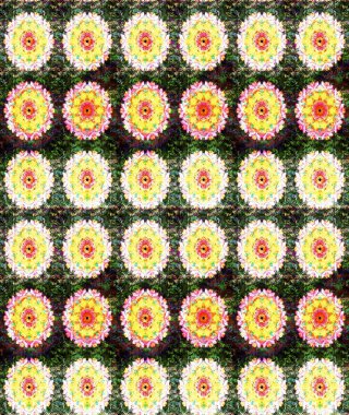 Gömlek, arka plan modelini çiz. Sarı renkli çiçekler. Tropik çiçekler.