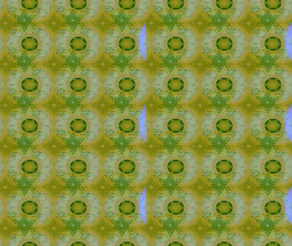 Etnik Mandala süsleme. Kullanılabilir Tekstil, tebrik kartı, boyama kitabı, telefon durumda yazdırma için. Raster kına dövme tarzı. Hint çiçek desenli madalyon desen.