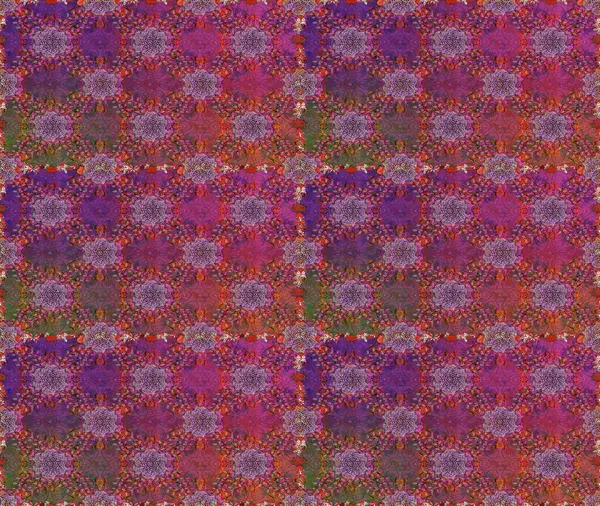 Nazikçe, güzel çiçek arkaplanı. Mor renkli çiçekler. Raster çiçek desenli ve çiçekli..