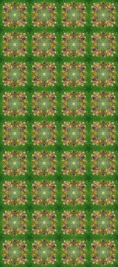 Kusursuz altın desenli bukleler. Yeşil, kahverengi ve nötr renklerde pürüzsüz desen. Raster altın pürüzsüz desen. Doğu tarzında altın elementler arabesk.